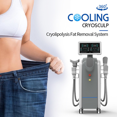 Cryo 360 Cryolipolysis-Machine Vet het Bevriezen Lichaam die Gewichts van Verlies de contouren aangeven
