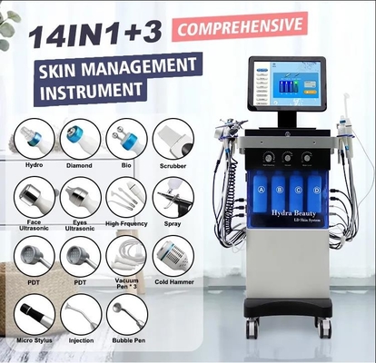 Ac110v H2o2 Gezichtsmachine voor Acnebehandeling