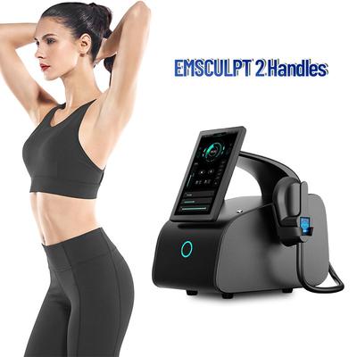 EMS dat Machine 4 beeldhouwt van Machine Draagbare ing Handvat