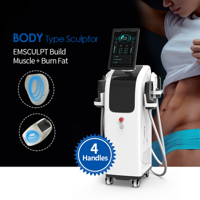 Neo  Ems Machine Beauty Muscleinstrument Professionele