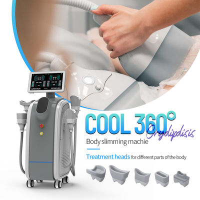 Revolutioneer uw gewichtsverlies met cryolipolyse-machinebehandeling