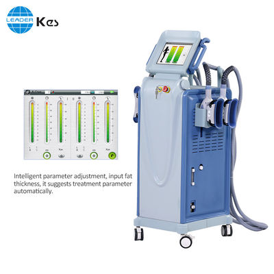Cryolipolyse-machine RF Cryolipolyse vacuümslimming apparaat