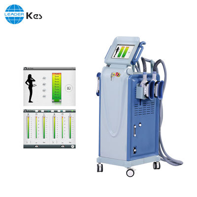 Gewichtsverlies Cryo Lipolyse schoonheidsmachine met dubbele koelplaten