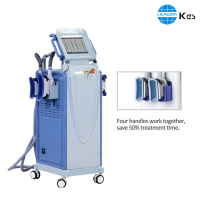 4 handvaten cryolipolyse machine, vetvriezen gewichtsverlies machine