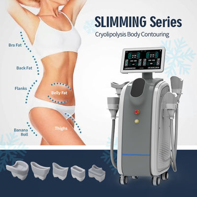 Afslanking Freezer Gewichtsverlies Machine 1500W Power Cryolipolysis OEM