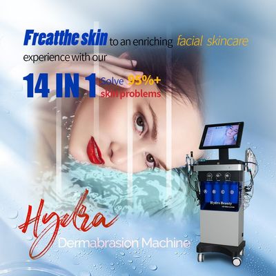 Huidverzorging 14 In 1 Hydra Beauty Water Jet Machine Blackhead Remover Tool